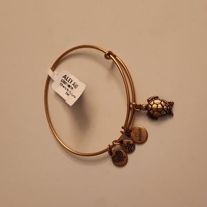 Alex and Ani Gold Turtle Bangle